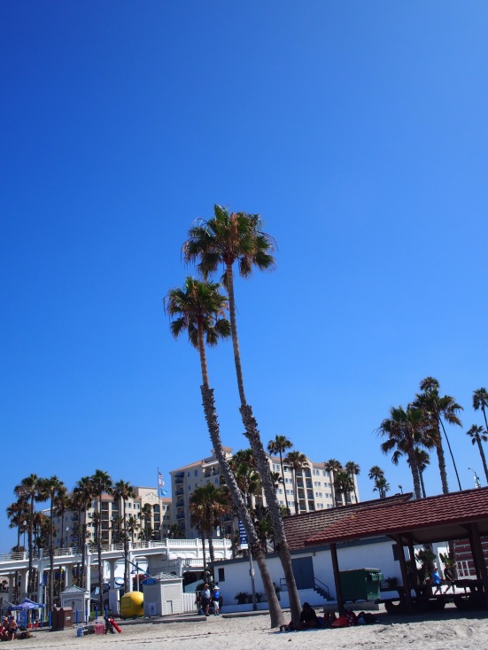 Palm trees on palm trees on palm trees!- Oceanside Pier