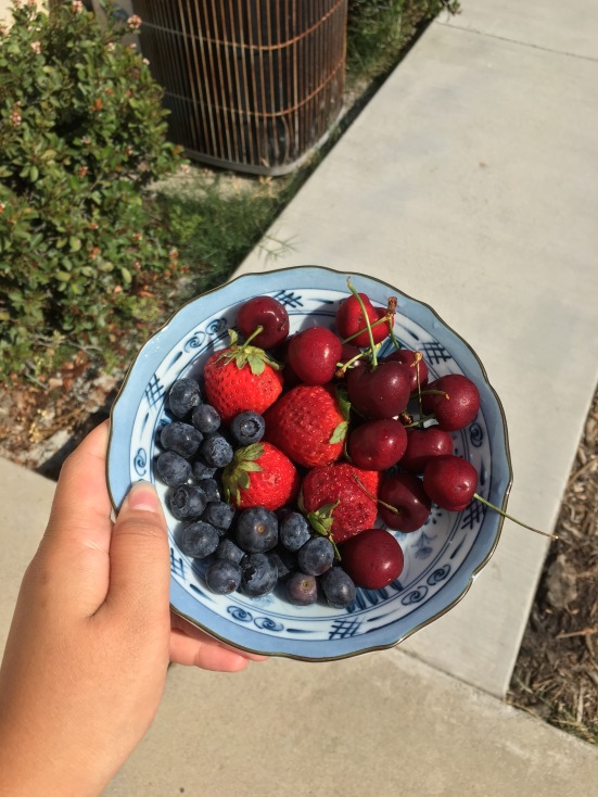 Nothing better than a good old summer bowl of cherries, strawberries and blueberries