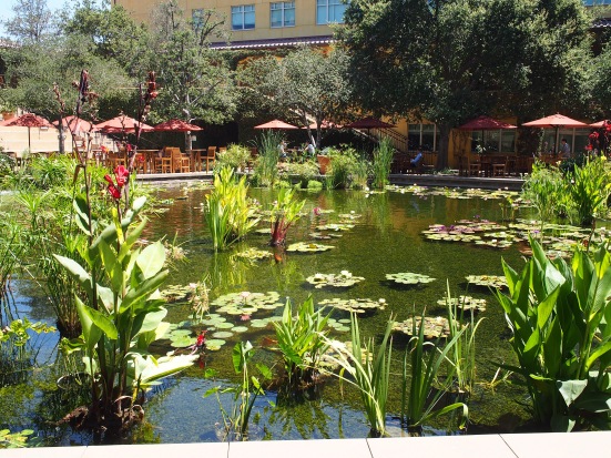 this garden serves as inspiration for animators while creating animation films- DreamWorks Animation Studio, California